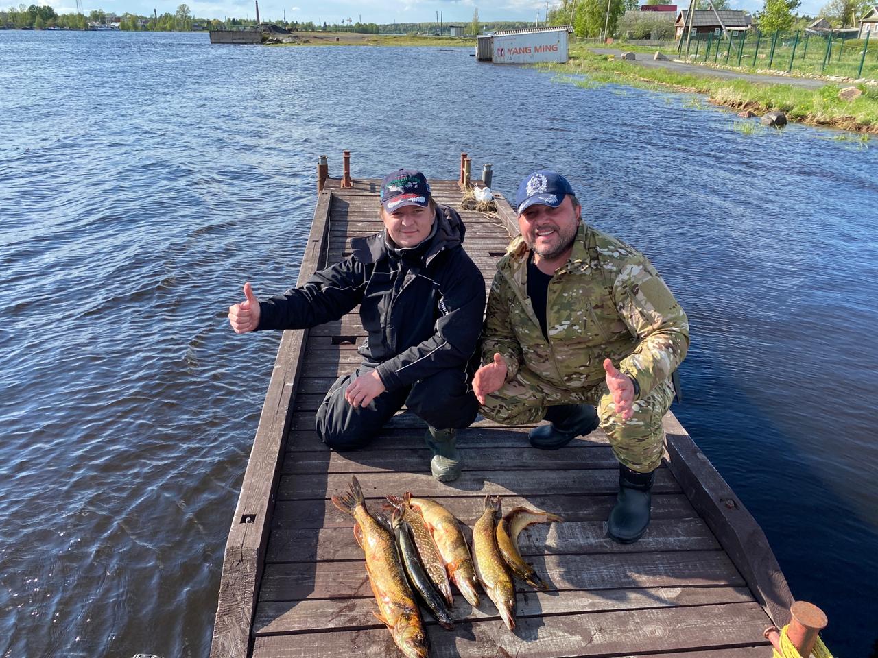 Рыбалка 67 ярцево. Ловить рыбу на Вологодском берегу Онеги.